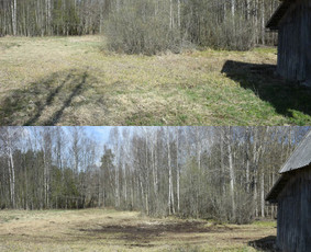 Apleistų sklypų tvarkymas / LUDAGO UAB / Darbų pavyzdys ID 4380297