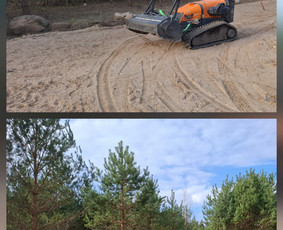 Aplinkos tvarkymas, apželdinimas - Apleistų sklypų tvarkymas - 4