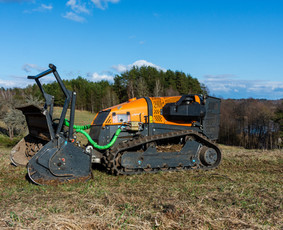 Aplinkos tvarkymas, apželdinimas - Apleistų sklypų tvarkymas - 1