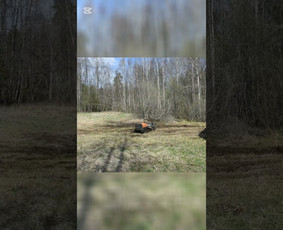 Apleistų sklypų tvarkymas / LUDAGO UAB / Darbų pavyzdys ID 4380315