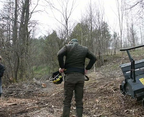 Apleistų sklypų tvarkymas / LUDAGO UAB / Darbų pavyzdys ID 4380321