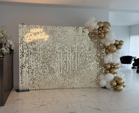 &Scaron;ventinės įrangos nuoma - Foto sienos nuoma - 1