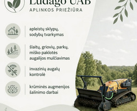 Apleistų sklypų tvarkymas / LUDAGO UAB / Darbų pavyzdys ID 4380345