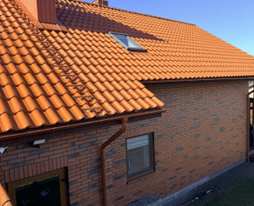 Fasadų plovimas - Kiemų-fasadų-stogų plovimas dažymas. - 2