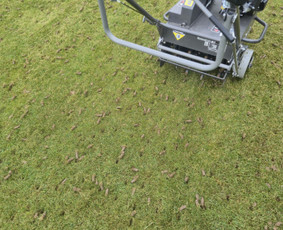 Vejos aeravimas - Vejos skarifikavimas, Core aeracija, levelingas, atsėjimas - 4