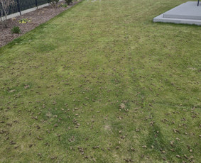 Vejos aeravimas - Vejos skarifikavimas, Core aeracija, levelingas, atsėjimas - 1