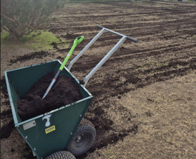 Vejos įrengimas: sėjimas, ruloninė veja - Vejos skarifikavimas, Core aeracija, levelingas, atsėjimas - 4