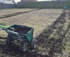 Vejos įrengimas: sėjimas, ruloninė veja - Vejos skarifikavimas, Core aeracija, levelingas, atsėjimas - 3