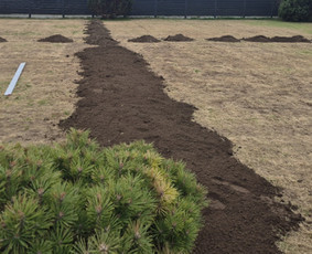 Vejos įrengimas: sėjimas, ruloninė veja - Vejos skarifikavimas, Core aeracija, levelingas, atsėjimas - 1