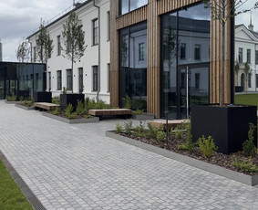 Aplinka, sodas - Trinkeliu klojimas - 4