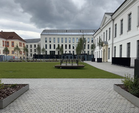 Aplinka, sodas - Trinkeliu klojimas - 1