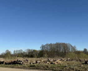 Malkos: gamyba, pristatymas - Parduodamos ąžuolinės malkos - 1