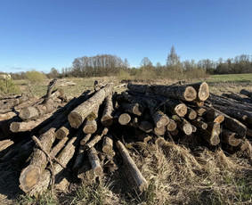 Malkos: gamyba, pristatymas - Parduodamos ąžuolinės malkos - 2