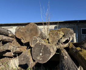 Malkos: gamyba, pristatymas - Parduodamos ąžuolinės malkos - 3