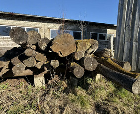 Malkos: gamyba, pristatymas - Parduodamos ąžuolinės malkos - 4