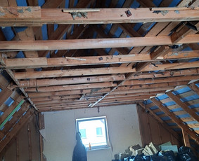 Pigiausias atliekų, šiukšlių išvežimas perkraustymo griovimo / Siuksliu isvezimas Griovimo darbai / Darbų pavyzdys ID 4382045
