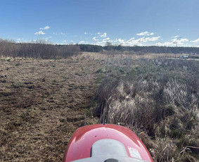 Apleistų sklypų tvarkymas - Apleistų sklypų tvarkymas, mulčiavimas, vejų priežiūra - 3