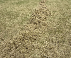 Aplinkos tvarkymas, apželdinimas - Žolės Pjovimas / Aplinkos Tvarkymas - 4