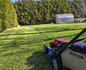 Vejos priežiūra, įrengimas - Žolės pjovimas,skarifikavimas,apleistų sklypų tvarkymas - 1