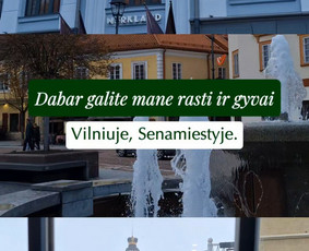 Komunikacijos specialistai - Socialinių tinklų administravimas ir Reels kūrimas Vilnius - 1