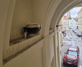 Langų, fasadų, stogų ir lietvamzdžių plovimas / MB Besas / Darbų pavyzdys ID 4383525