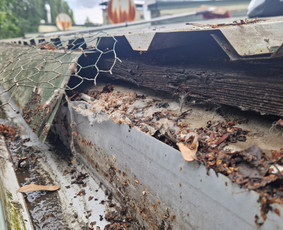 Stogų ir lietvamzdžių valymas - Langų, fasadų, stogų ir lietvamzdžių plovimas - 1