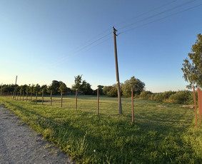 &Scaron;iuk&scaron;lių i&scaron;vežimas - Žolės pjovimas, atliekų utilizavimas - 4