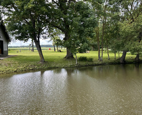 &Scaron;iuk&scaron;lių i&scaron;vežimas - Žolės pjovimas, atliekų utilizavimas - 3