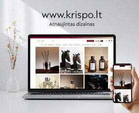 Interneto svetainių kūrimas - Interneto svetainių ir el.parduotuvių kūrimas, dizainas - 4