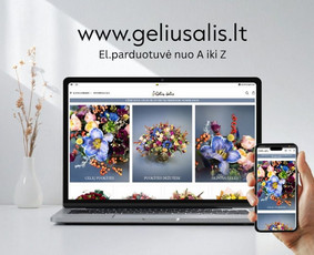 El. parduotuvių kūrimas su OpenCart - Interneto svetainių ir el.parduotuvių kūrimas, dizainas - 2