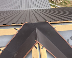 Statybos darbai - Stogu dengimas , kaminu skardinimas, skardinimo darbai - 2