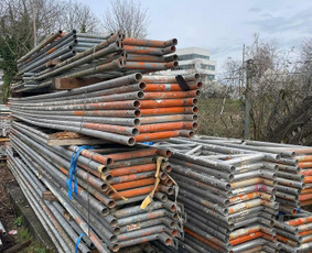 Pastoliai / Vladas / Darbų pavyzdys ID 4385434