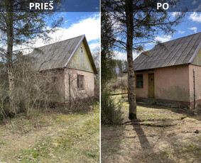 Medžių genėjimas, pjovimas - Sklypų tvarkymas: medžių ir krūmų pjovimas su i&scaron;vežimu. - 1