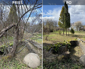 Aplinka, sodas - Sklypų tvarkymas: medžių ir krūmų pjovimas su i&scaron;vežimu. - 4