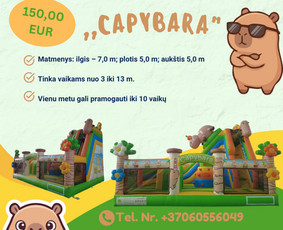 Batutų nuoma - Pripučiamų batutų nuoma Vilniuje - 3