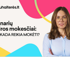 Buhalterio konsultacija - Buhalterinės apskaitos paslaugos Lietuvoje - 2