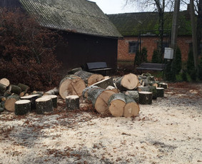 Arboristo paslaugos. Medžių pjovimas, kelmų naikinimas / Mantas Gerulis / Darbų pavyzdys ID 936183