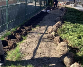 Aplinkos tvarkymas, apželdinimas - Įrenk savo svajonių sodą su Medelynu Flora - 2