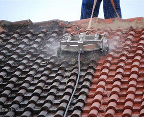 Stogų valymas ir priežiūra - Stogų, fasadų, trinkelių - plovimas, dažymas. - 2