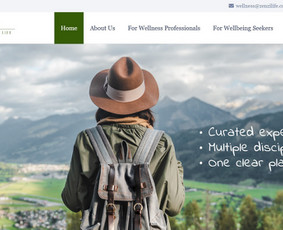 Interneto svetainių kūrimas - Svetainių ir e parduotuvių kūrimas, reklama - 3