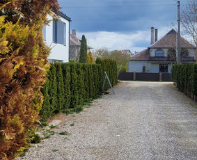 Apleistų sklypų tvarkymas - Tuju,gyvatvoriu karpymas,žeminimas,formavimas - 3