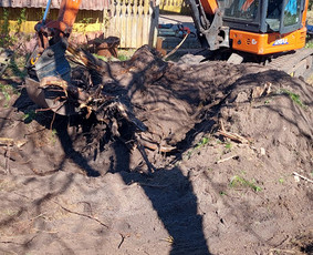 Mini ekskavatoriaus nuoma - Mini 2,8t ekskavatoriaus nuoma su operatorium - 2