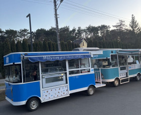 Išskirtinio dizaino ledų vagonėlis / Anzelma Laurinavičienė / Darbų pavyzdys ID 4387502