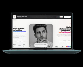 Interneto svetainių kūrimas - Profesionalus programinės įrangos kūrėjas - 2