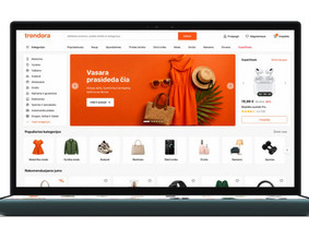 Interneto svetainių priežiūra - Profesionalus programinės įrangos kūrėjas - 1