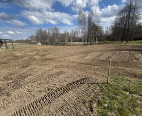 Apleistų sklypų tvarkymas - Įvairių paslaugų teikimas - 2