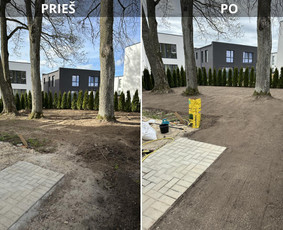 &Scaron;akų i&scaron;vežimas - Apželdinimo darbai - 3