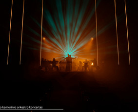 Ek Lights / MB EK Lights / Darbų pavyzdys ID 4389608