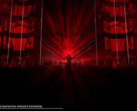 Ek Lights / MB EK Lights / Darbų pavyzdys ID 4389612