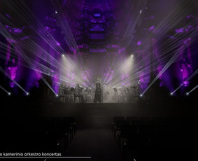 Ek Lights / MB EK Lights / Darbų pavyzdys ID 4389614